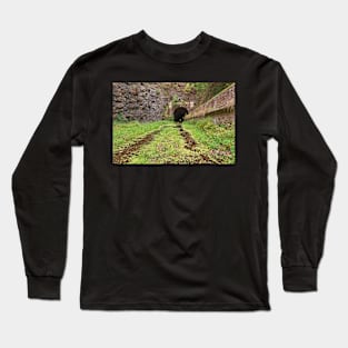 Paw Paw Tunnel Long Sleeve T-Shirt